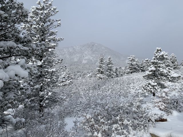 Chapel Trail